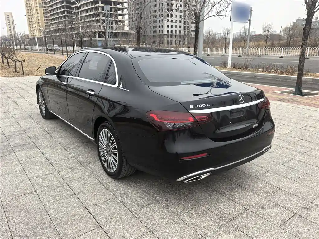 Mercedes-Benz E-Class 2022 Facelift E 300 L Luxury Style фото 9