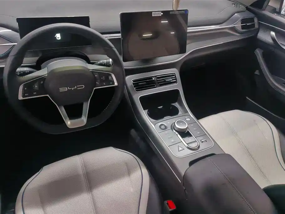 BYD Destroyer 05 2024 Glory Edition DM-i 55KM Luxury фото 12