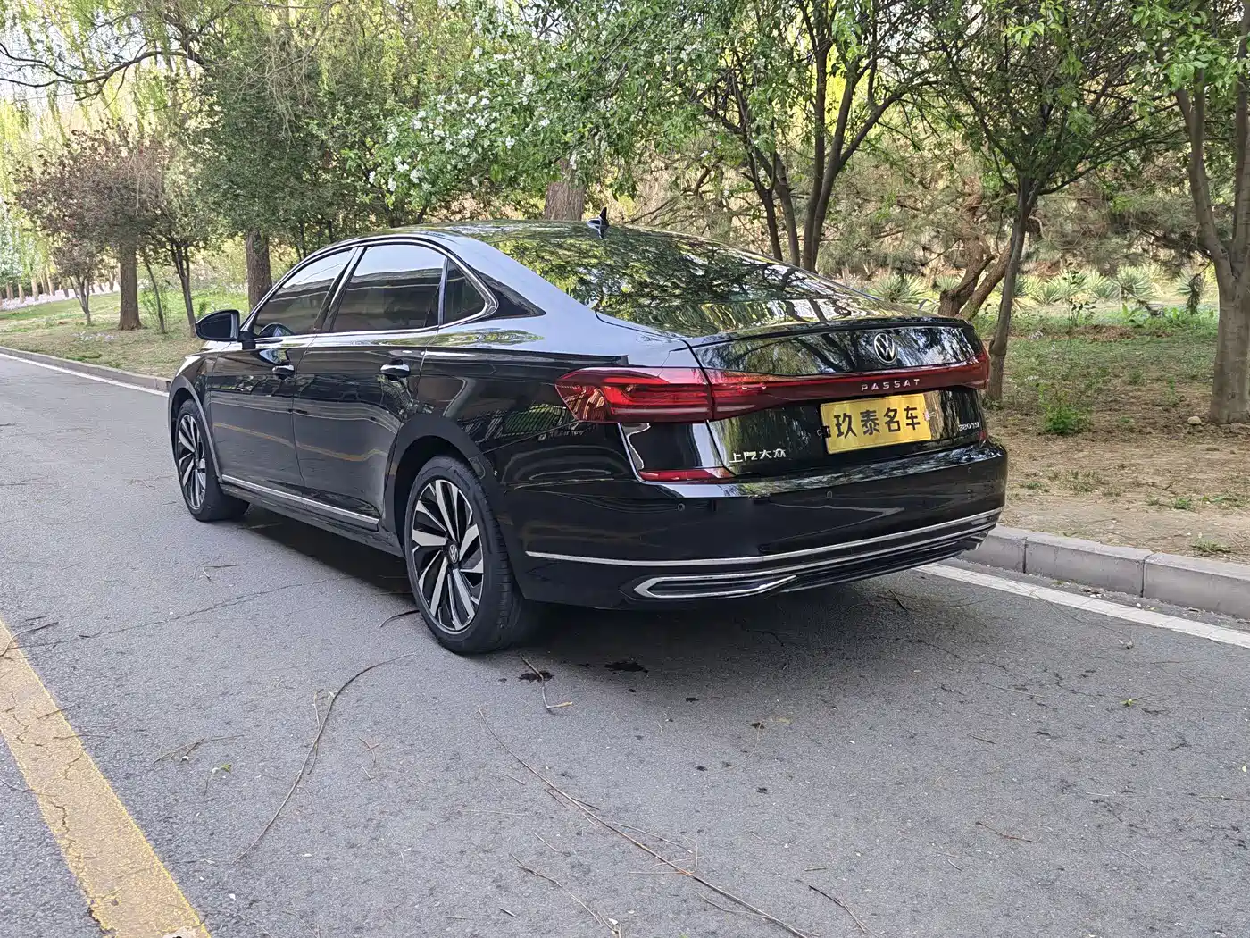 Volkswagen Passat 2025 Outstanding 380TSI Dragon Soaring Edition фото 7