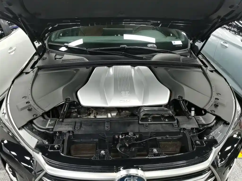 BYD Tang New Energy 2021 DM-i 112KM Honor фото 20