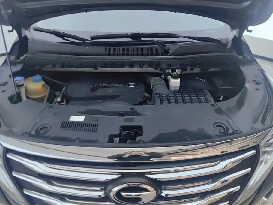GAC Trumpchi Trumpchi M8 2020 Pilot 390T Premium Edition фото 10