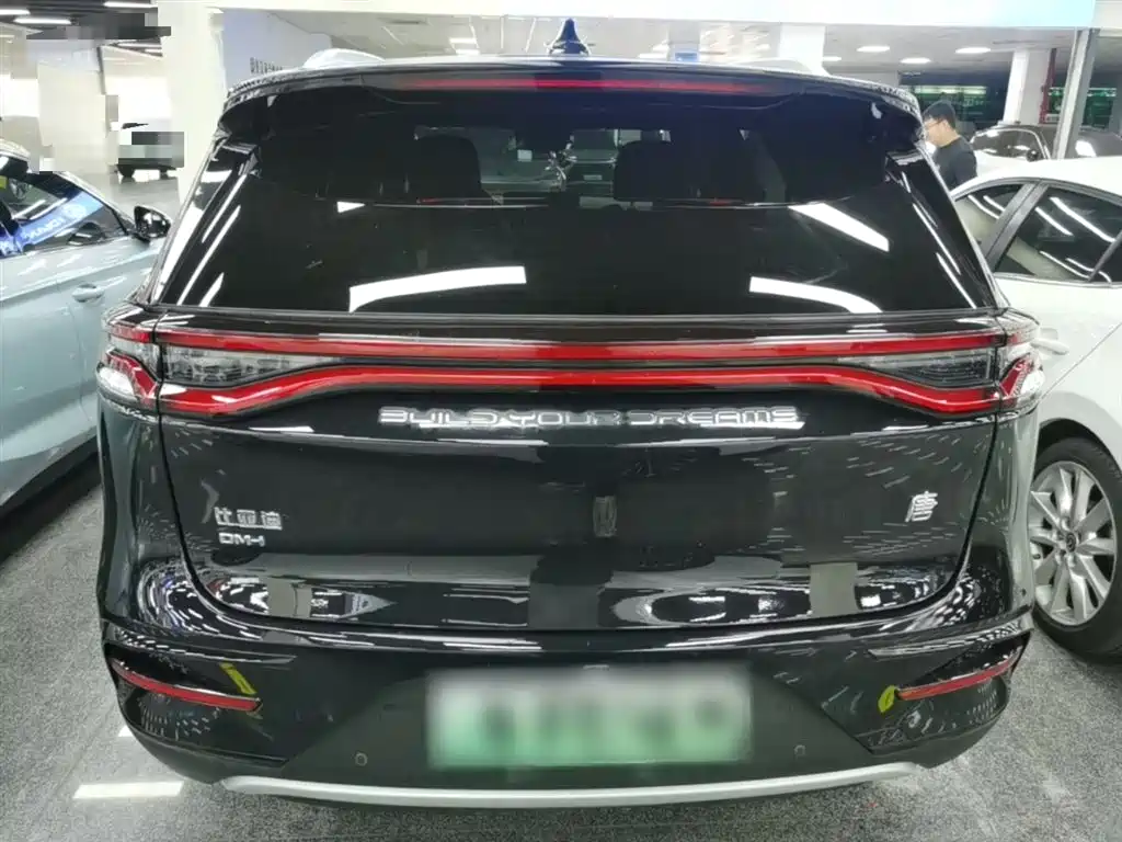 BYD Tang New Energy 2021 DM-i 112KM Honor фото 6