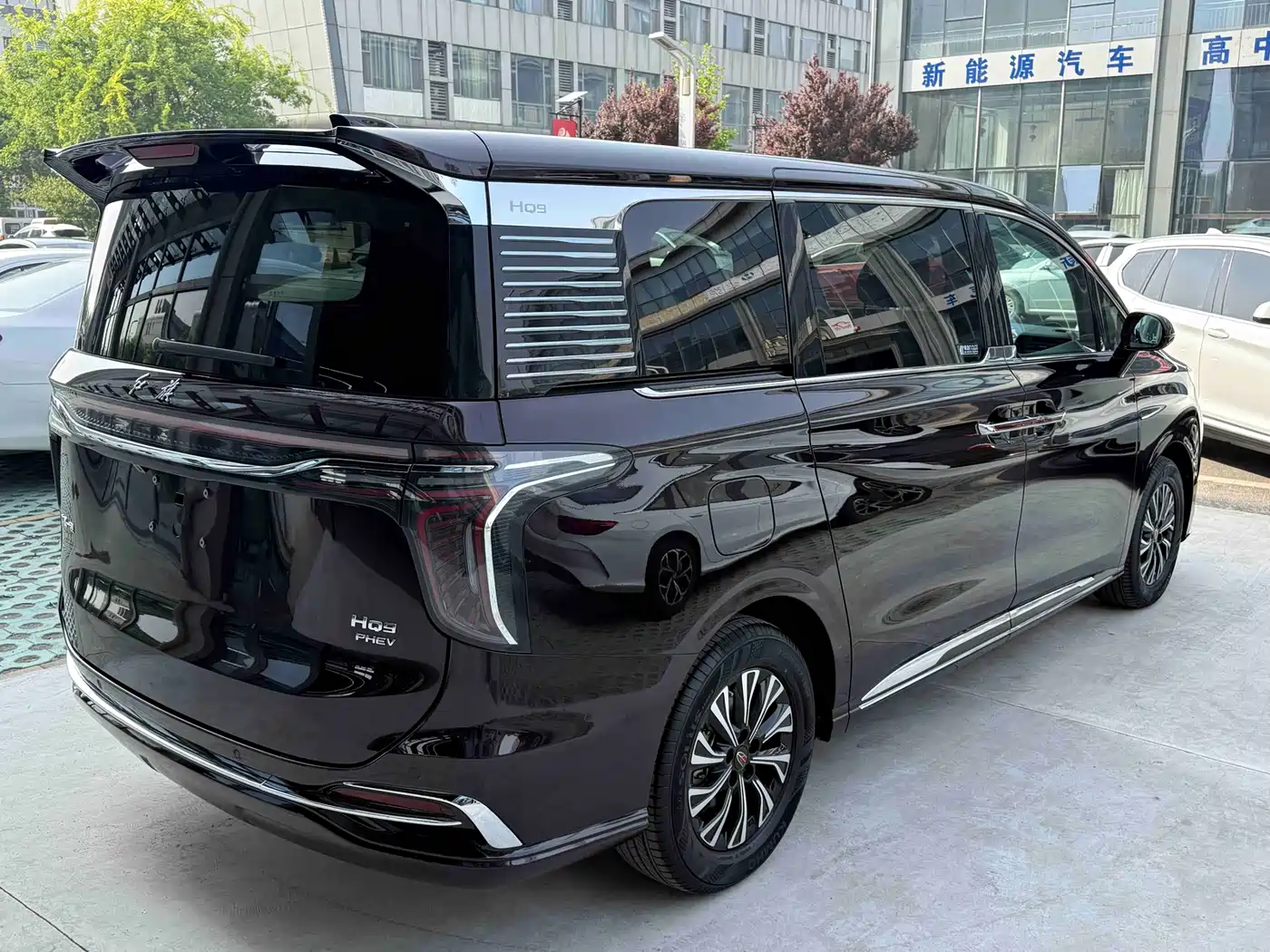 Hongqi HQ9 PHEV 2024 Model 2.0T AWD Luxury Edition фото 4