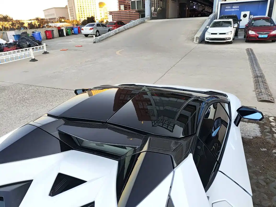 Lamborghini Aventador 2013 LP 700-4 Roadster фото 13
