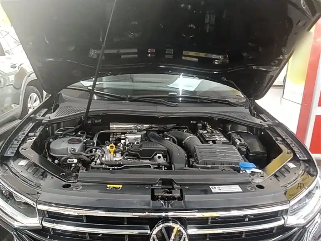 Volkswagen Tiguan L 2024 Outstanding 300TSI Auto 2WD Dragon Soaring Edition фото 20
