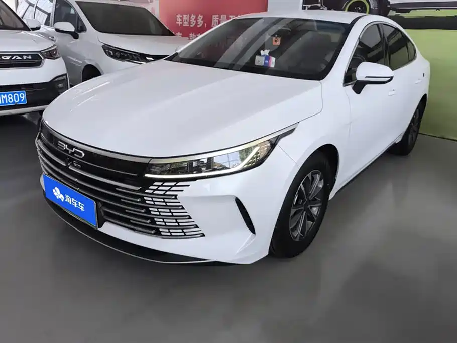 BYD Destroyer 05 2024 Glory Edition DM-i 55KM Luxury