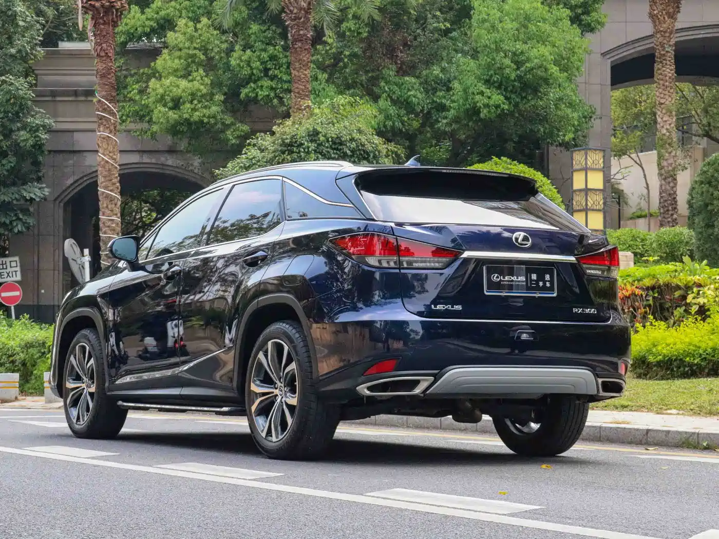 Lexus RX 2020 Facelift 300 AWD Elegance Edition фото 11