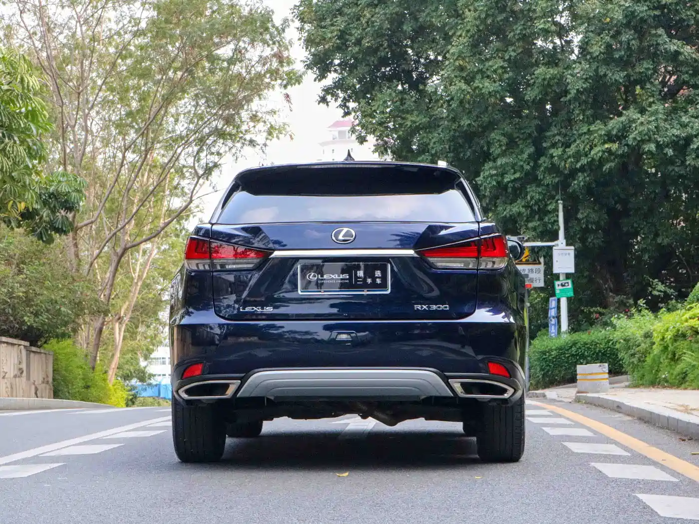 Lexus RX 2020 Facelift 300 AWD Elegance Edition фото 12