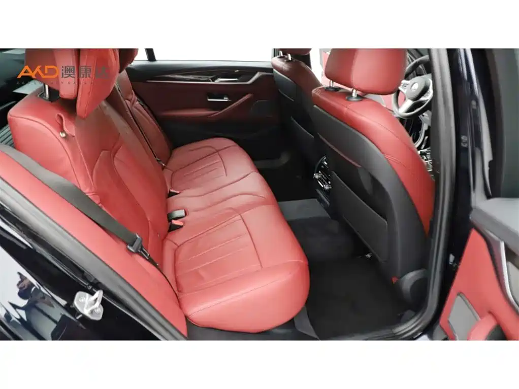 BMW 5 Series 2019 Facelift 530Li Premium M Sport Package фото 8