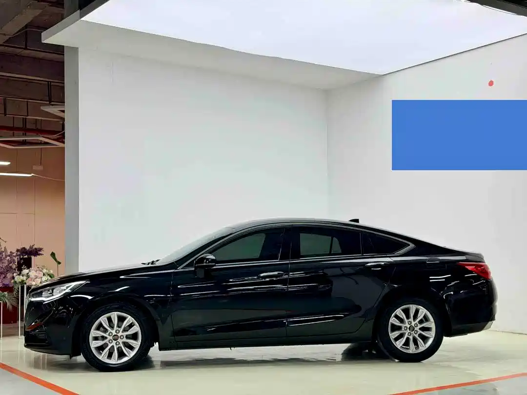 Hongqi H5 2019 30TD Style Edition фото 7