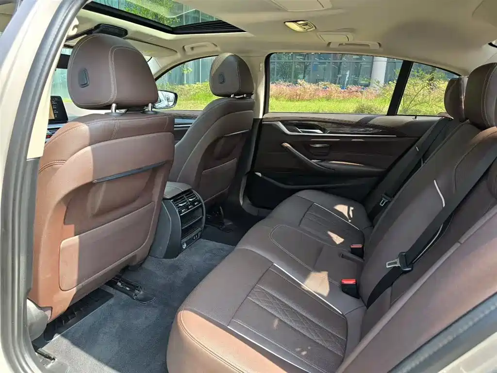 BMW 5 Series 2021 525Li Luxury Package фото 6