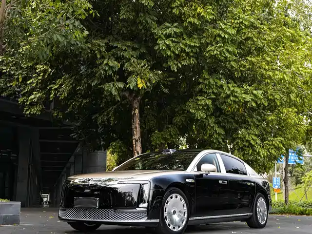 Zunjie S800 2025 Model Extended Range Starlight Executive Edition 4-seater