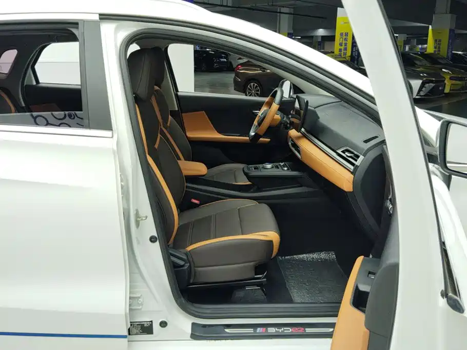 BYD e2 2022 2021 Luxury Edition