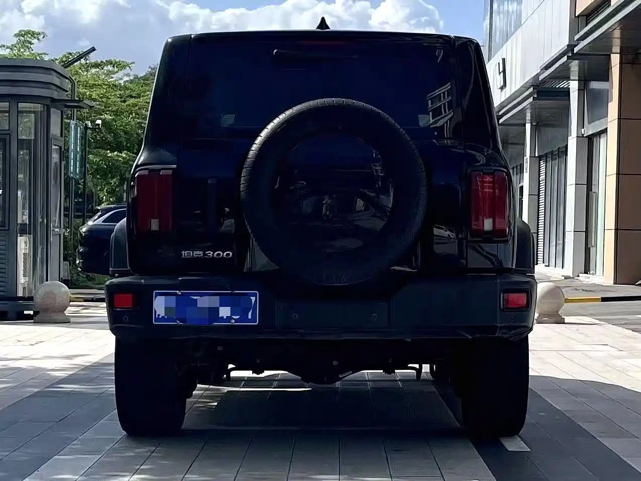 Tank 300 2021 Off-road Edition 2.0T Explorer фото 7