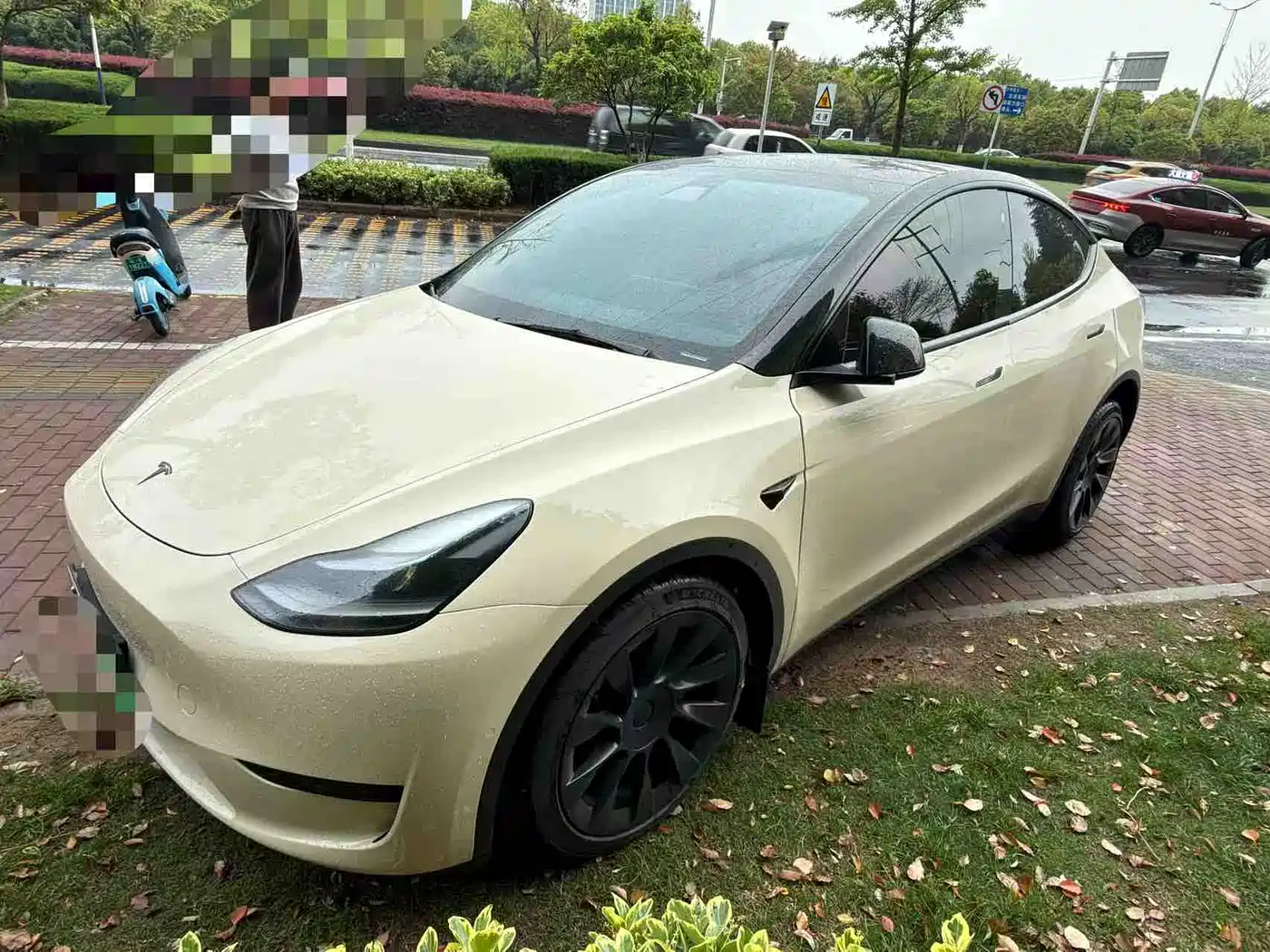 TESLA MODEL Y