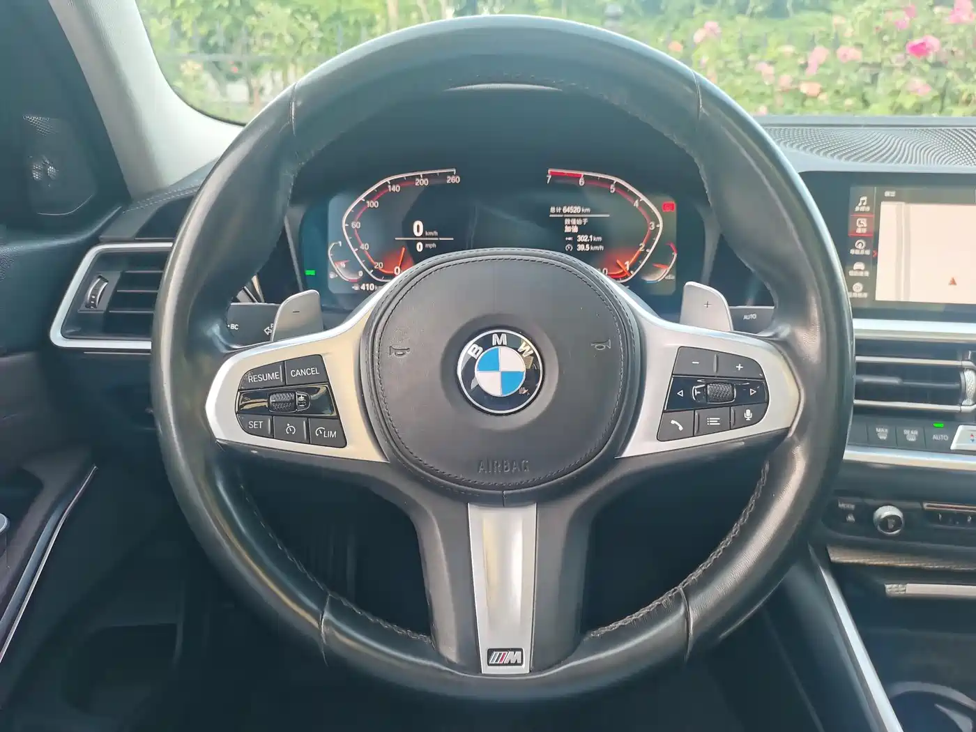 BMW 3 Series 2020 325Li M Sport Black Night Package фото 14