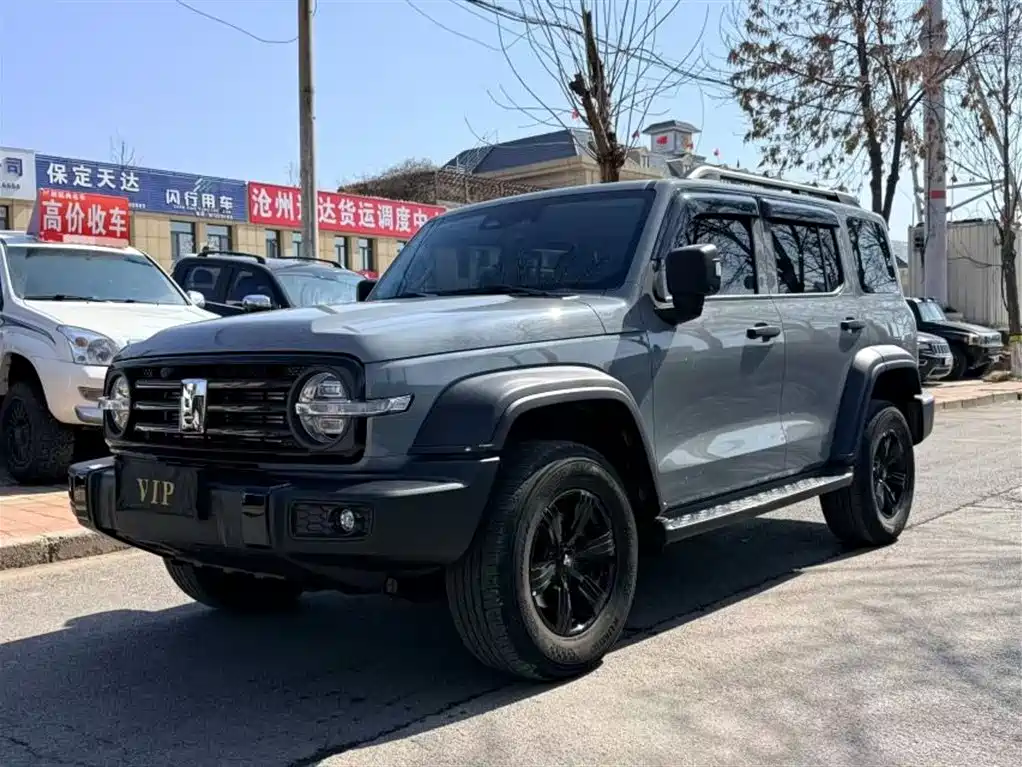 Tank 300 2023 Off-Road Edition 2.0T Conqueror фото 8