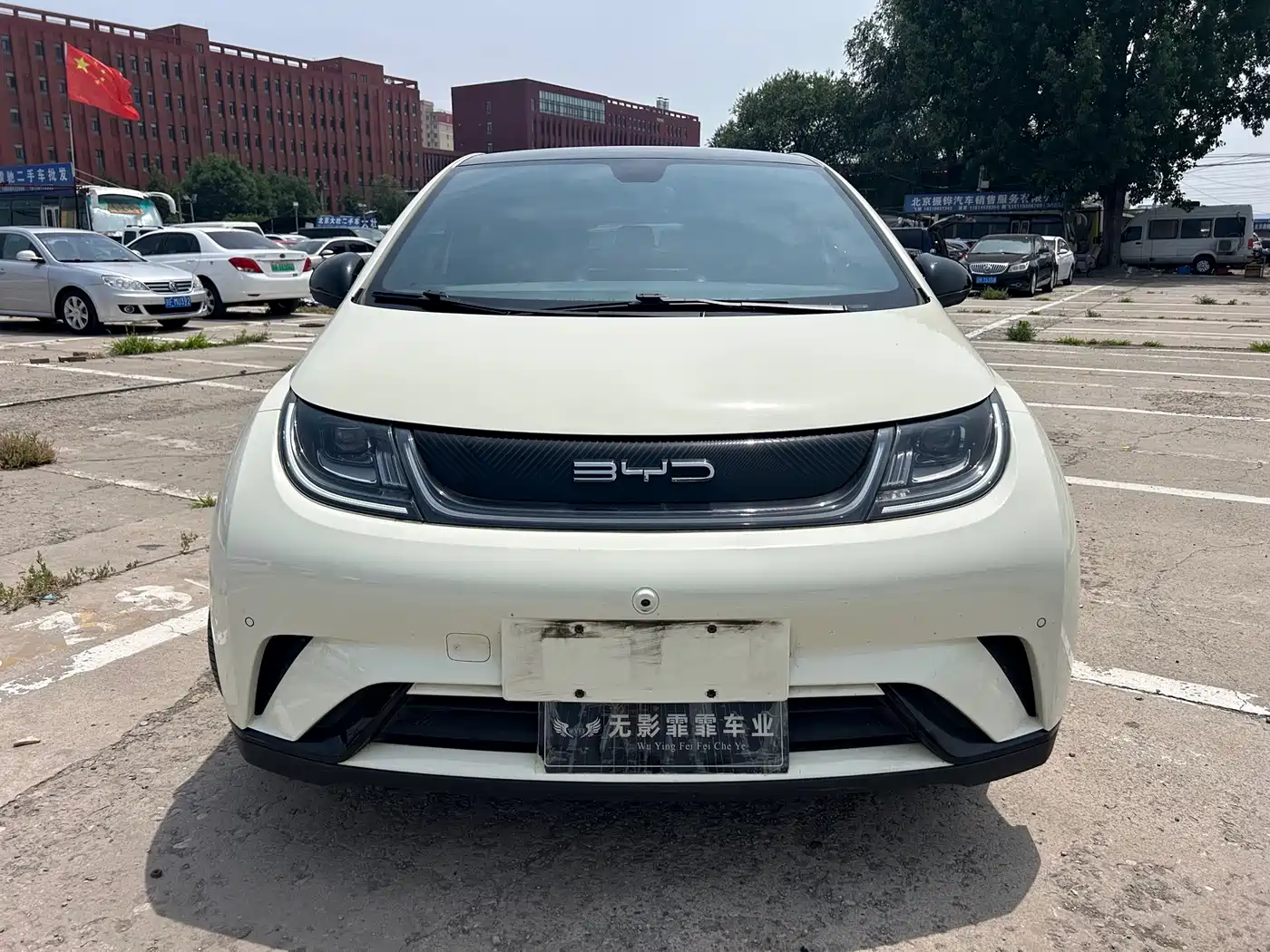 BYD Dolphin 2023 420km Fashion Edition фото 2