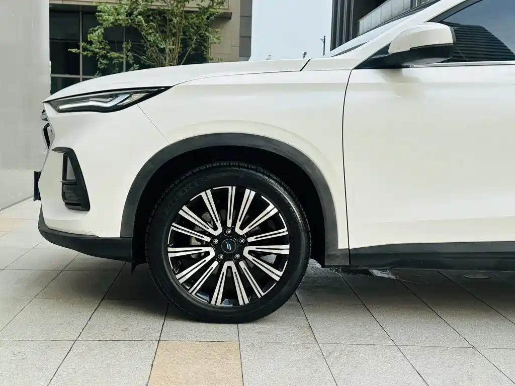 Фото 21 - Changan Oshan Changan Oushang X5