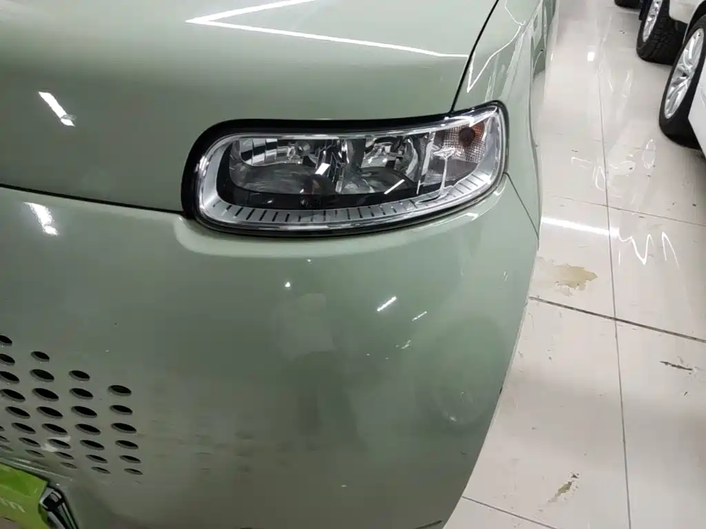 Ora White Cat 2021 2020 305km Luxury