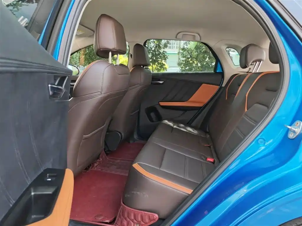 BYD e2 2021 Luxury Edition фото 17