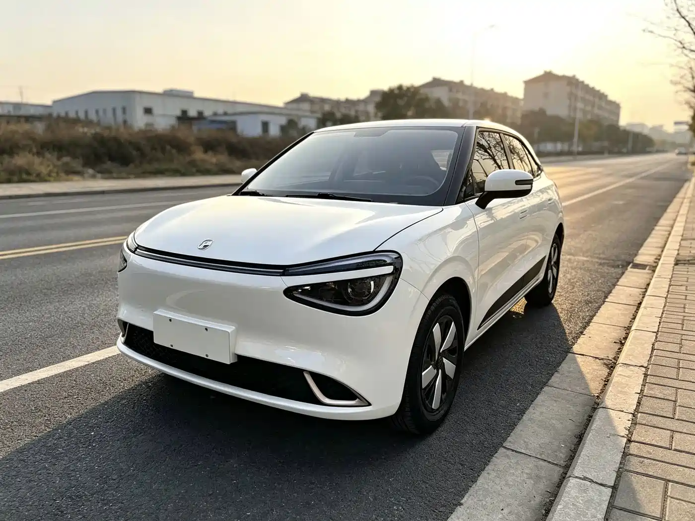 Dongfeng Yipai Nano 01 2025 2025 330 Youth Edition