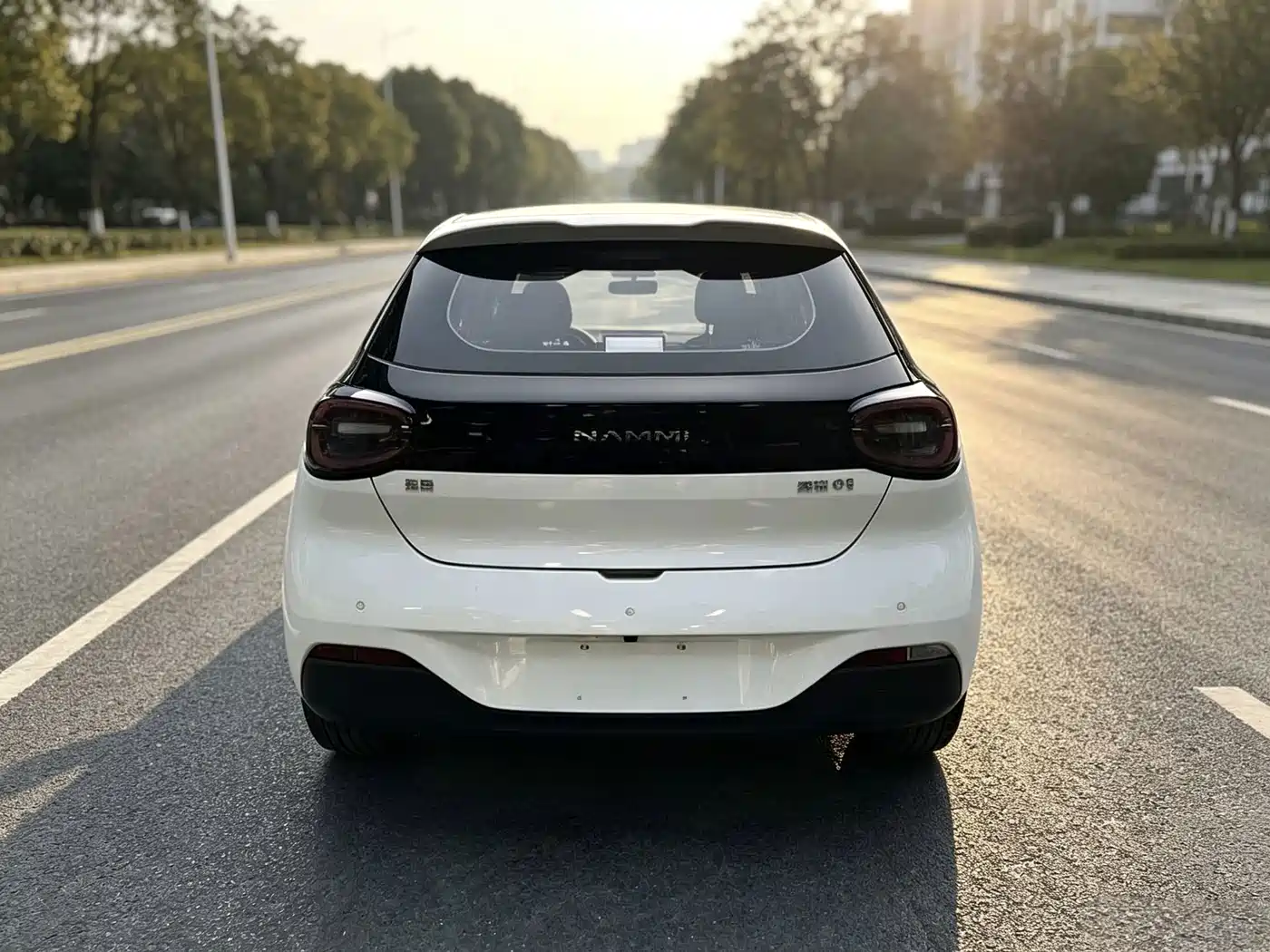 Dongfeng Yipai Nano 01 2025 2025 330 Youth Edition