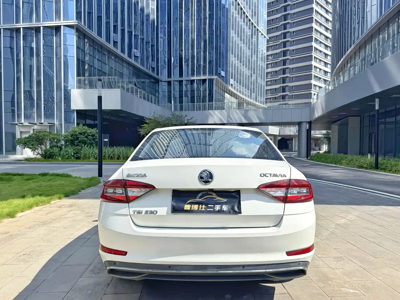 Škoda Octavia 2018 TSI230 DSG Luxury Edition фото 8