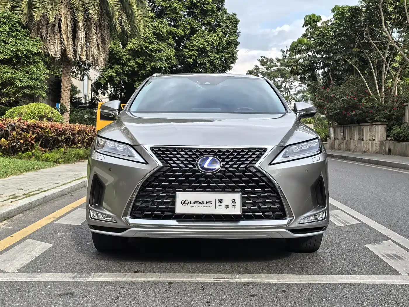 Lexus RX 2020 Facelift 450h AWD Elegance Edition фото 2