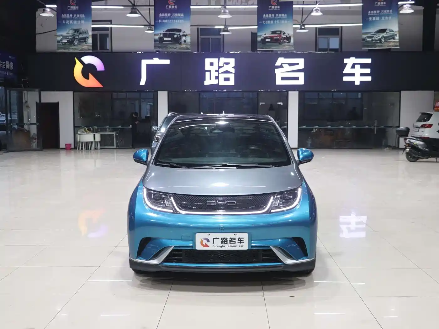 BYD Dolphin 2023 401km Knight Edition