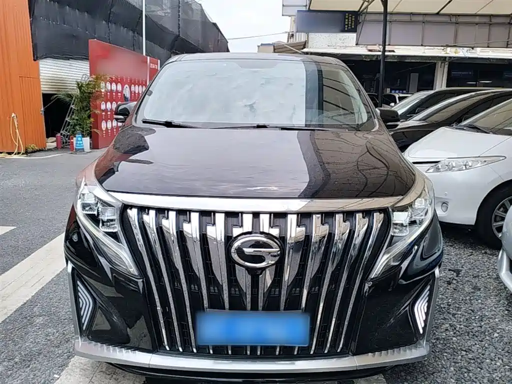 GAC Trumpchi Trumpchi M8 2021 Leading Show Series 390T Luxury Edition фото 3