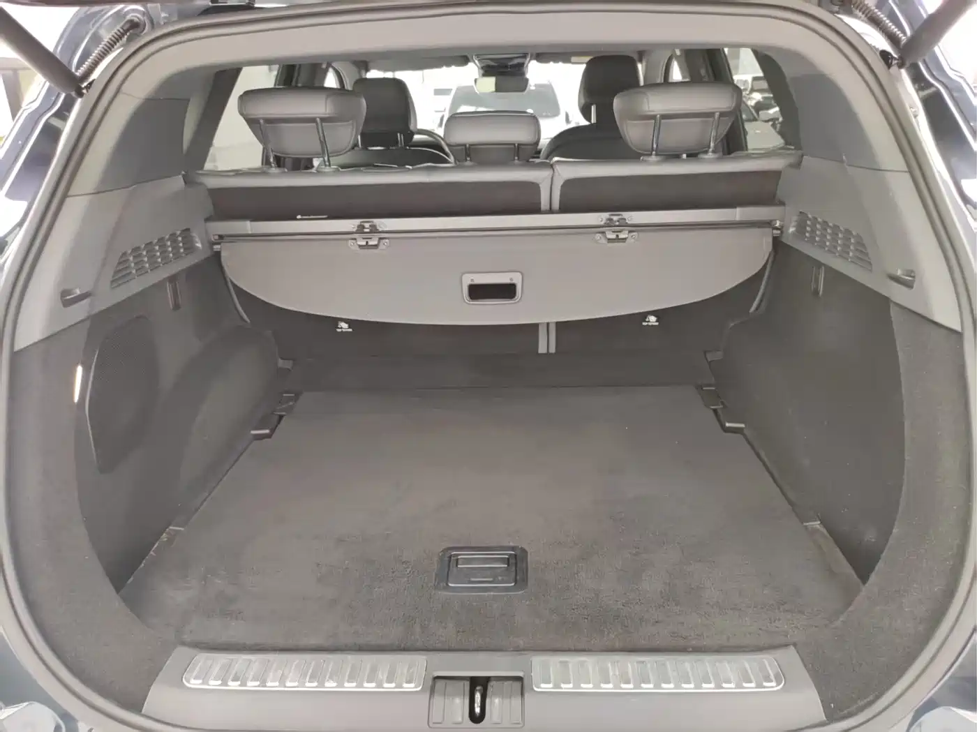 ARCFOX EXTREME FOX POLAR FOX ALPHA T