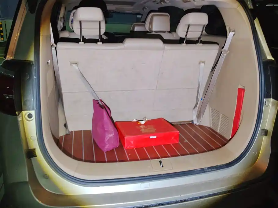 Buick GL8 2020 Model ES Landglory 653T Luxury фото 4