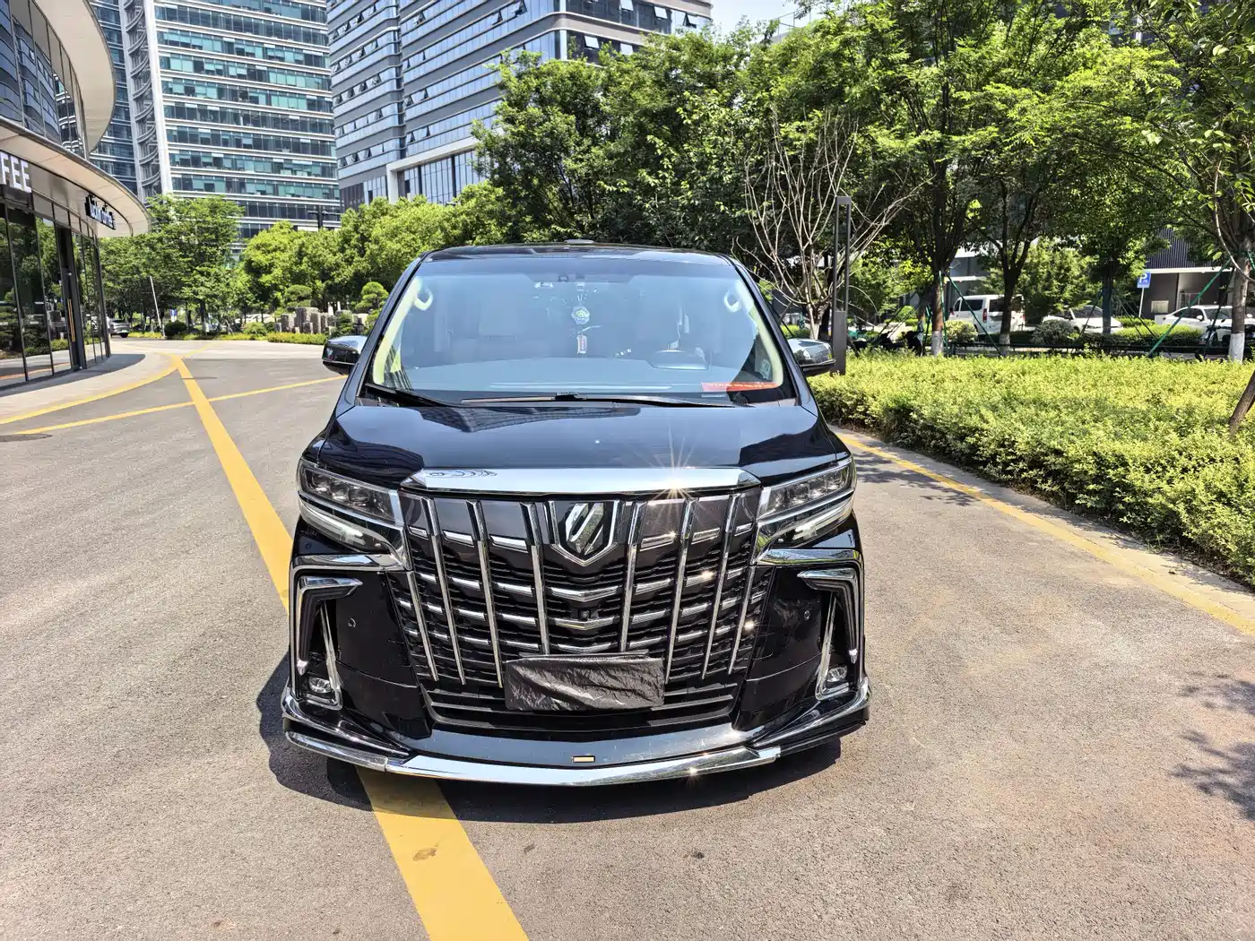 Toyota Alphard 2018 3.5L Premium фото 2