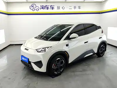BYD Seagull