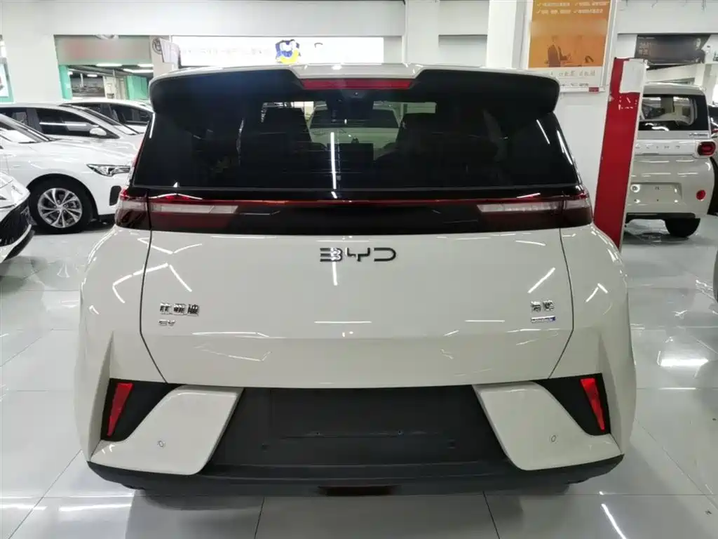 BYD Seagull 2025 Smart Drive Edition 305km Freedom Version фото 6
