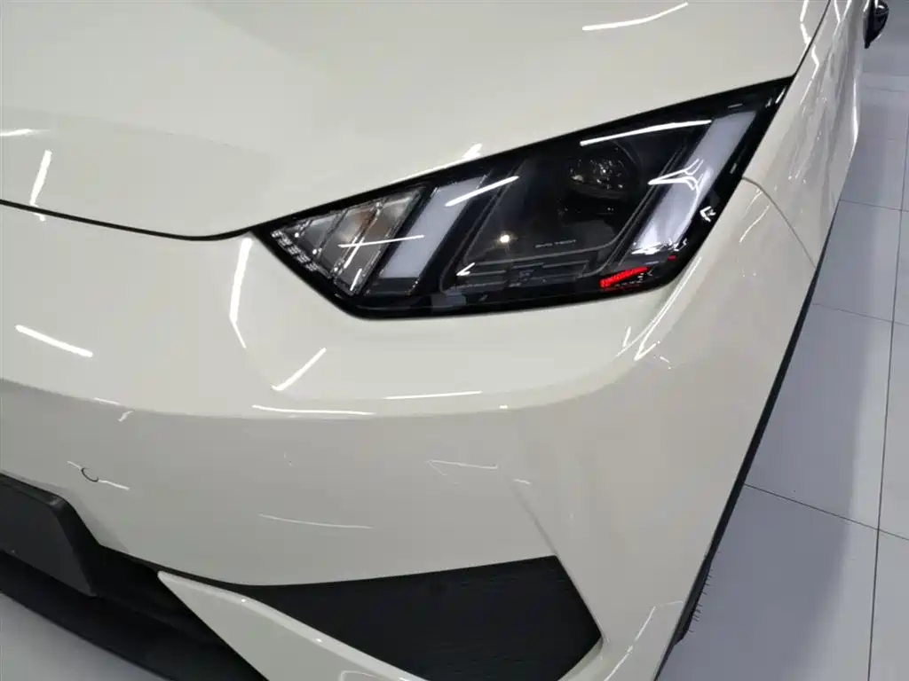 BYD Seagull 2025 Smart Drive Edition 305km Freedom Version фото 24
