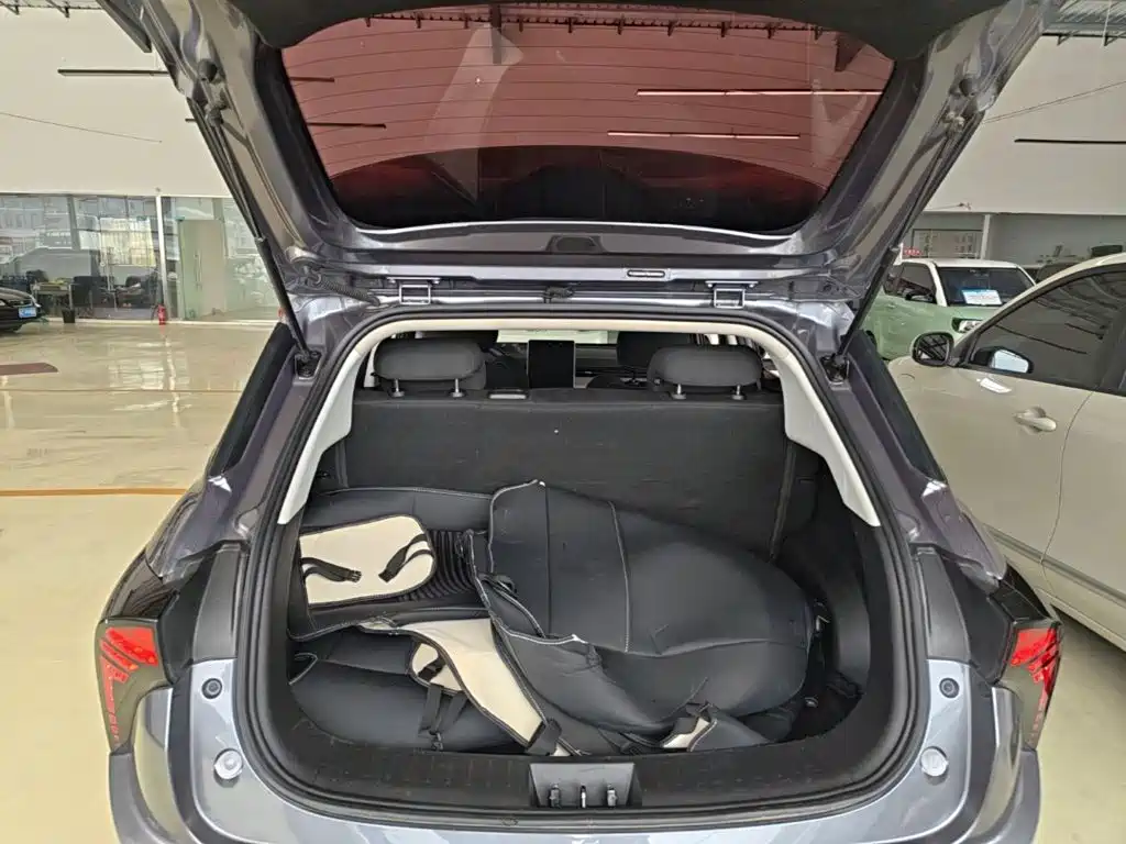 Nezha Auto Nezha V 2021 2021 Standard Range Entertainment Upgrade