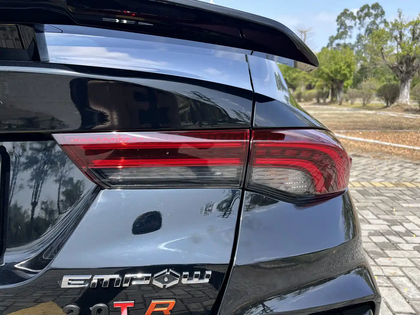 GAC TRUMPCHI SHADOW LEOPARD