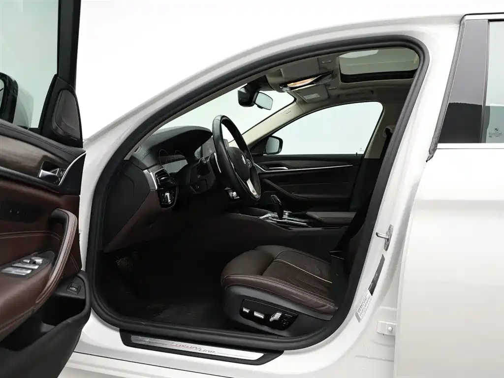 BMW 5 Series 2019 530Li Premium Luxury Package фото 10