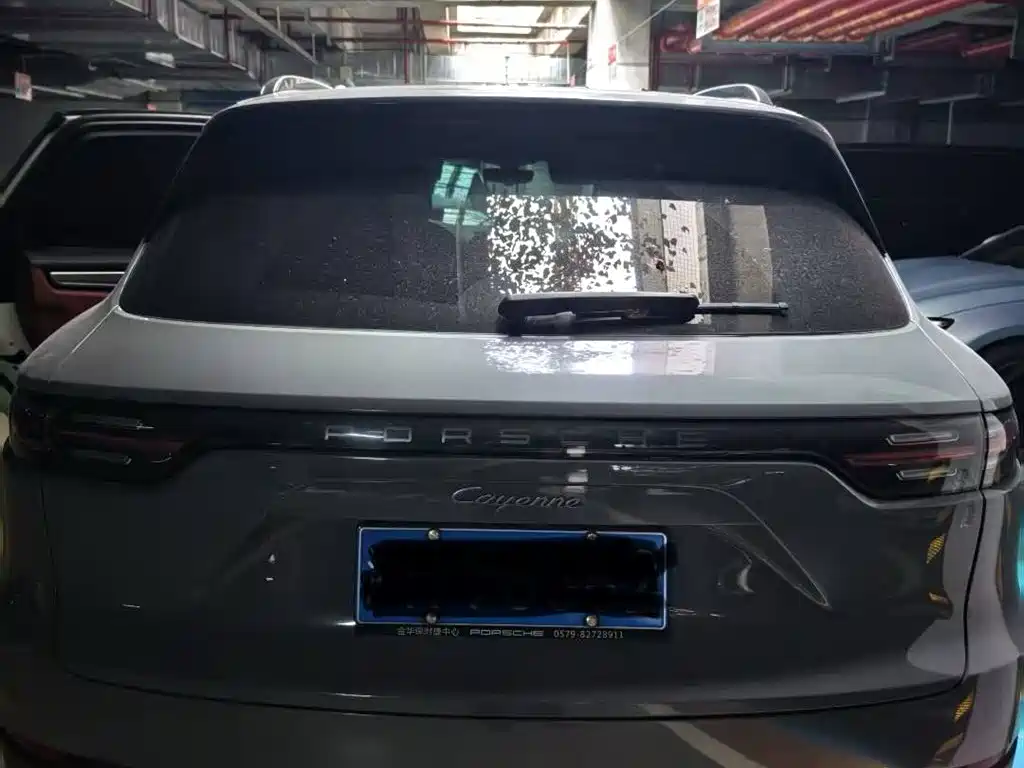Porsche Cayenne 2022 Cayenne 3.0T Platinum Edition фото 2