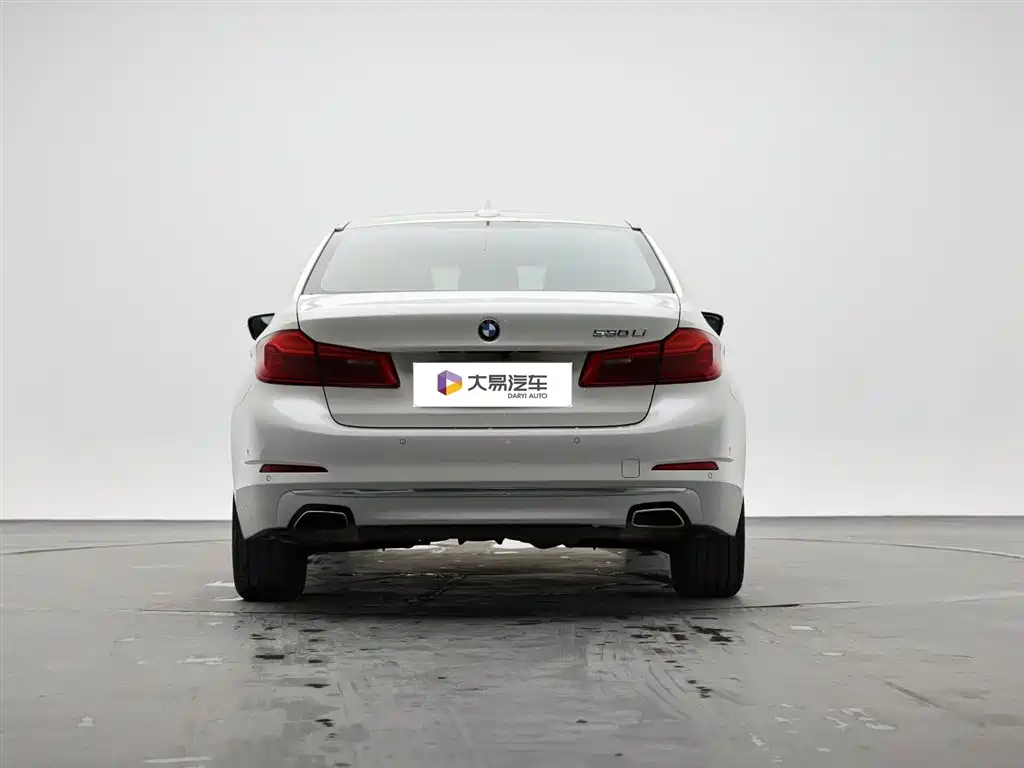 BMW 5 Series 2019 530Li Premium Luxury Package фото 4