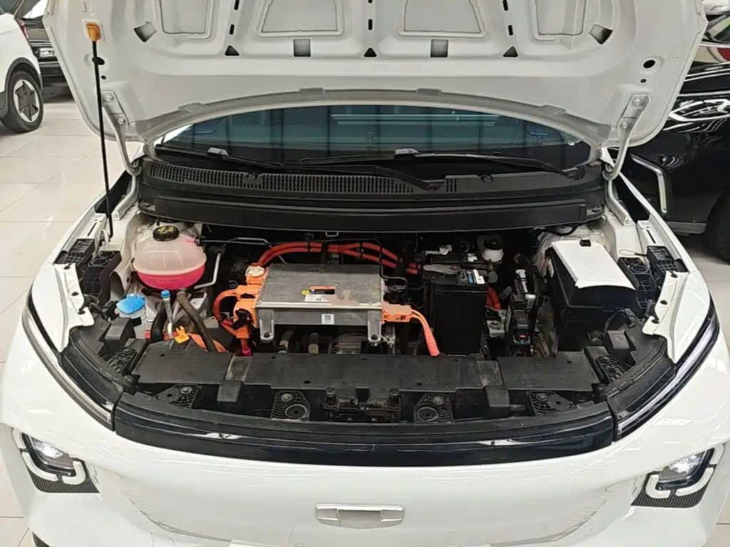 Geely Geometry E Firefly 2024 2024 Model 301km Light Flow