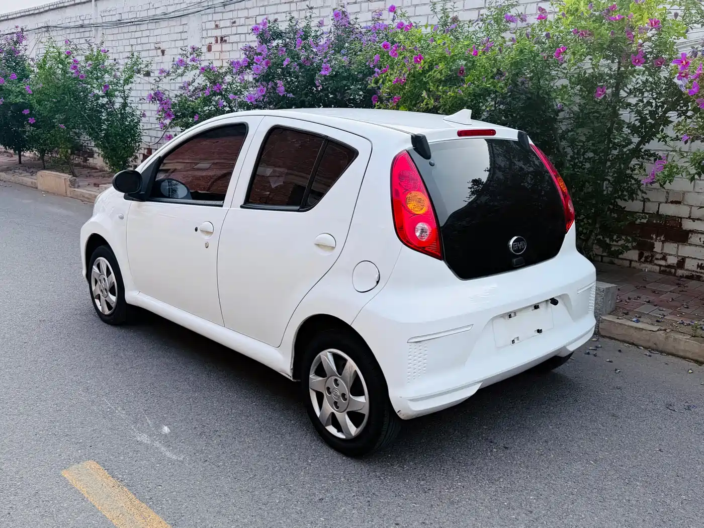 BYD e1 2019 2019 Advance Version