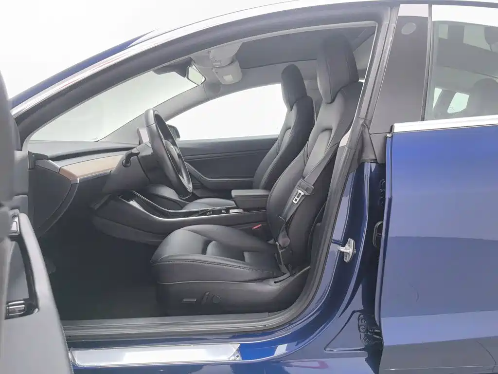 Tesla Model 3 (Import) 2019 2019 Long Range All-Wheel Drive Edition