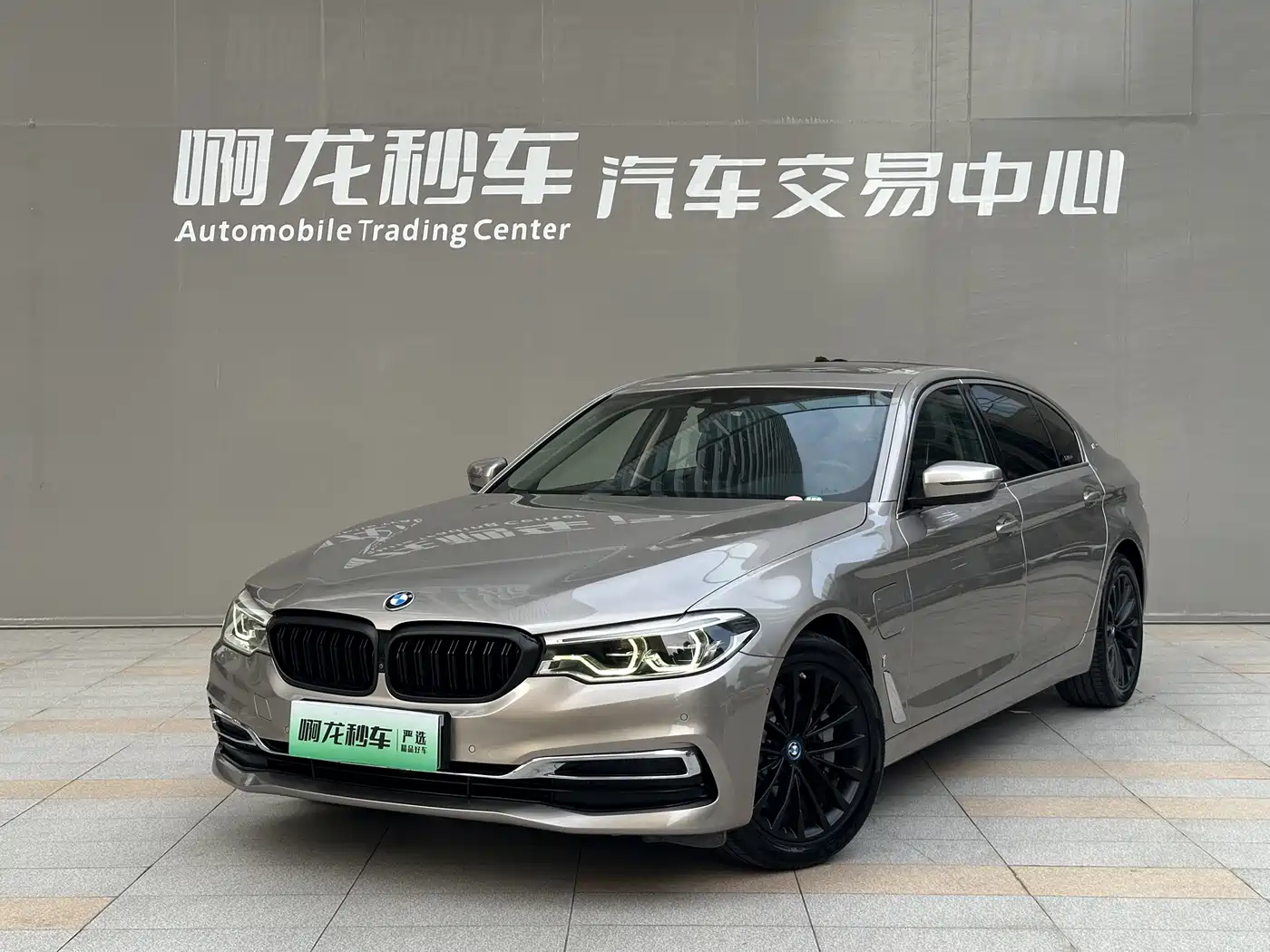 BMW 5 Series New Energy 2019 Facelift 530Le Luxury Package
