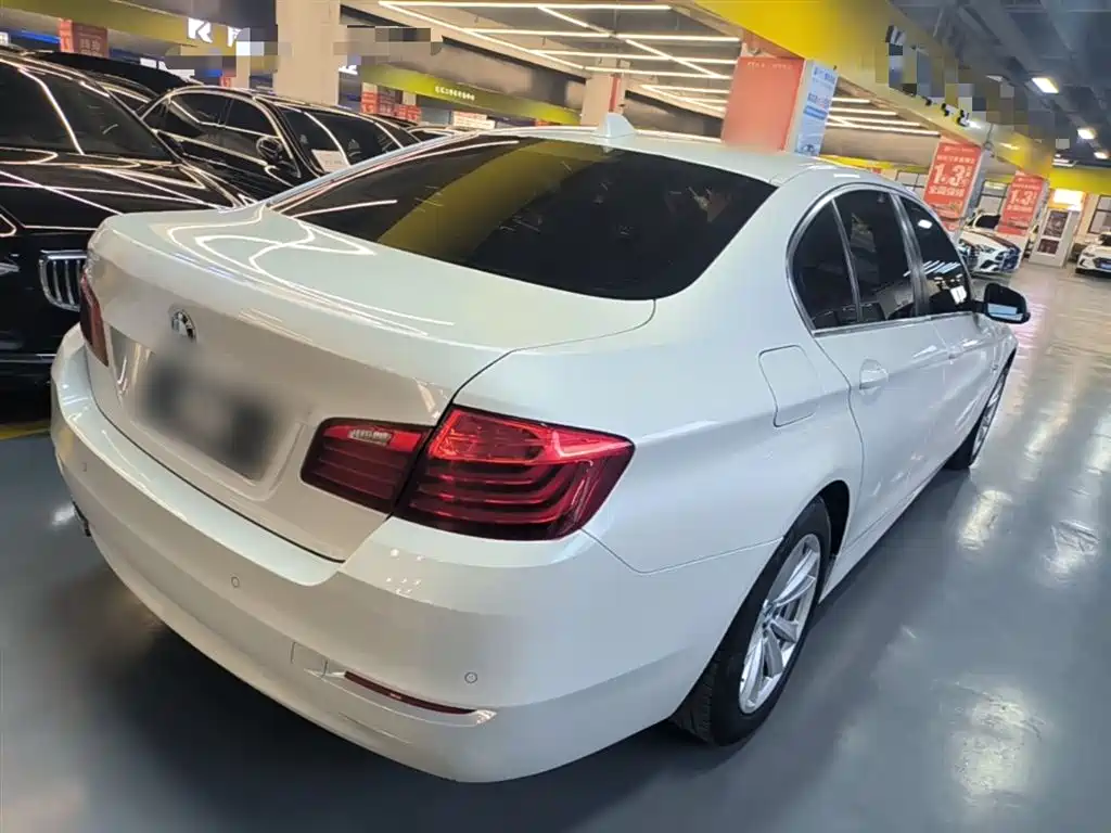 BMW 5 Series (Import) 2015 520i Elegance фото 7