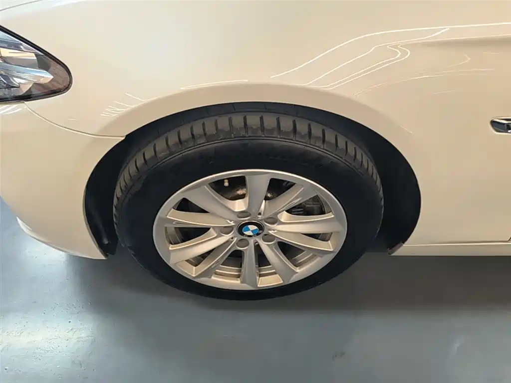 BMW 5 Series (Import) 2015 520i Elegance фото 23
