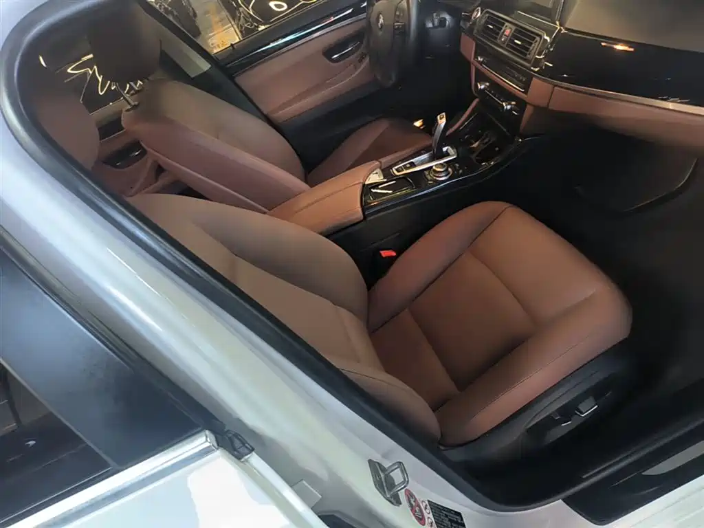BMW 5 Series (Import) 2015 520i Elegance фото 25