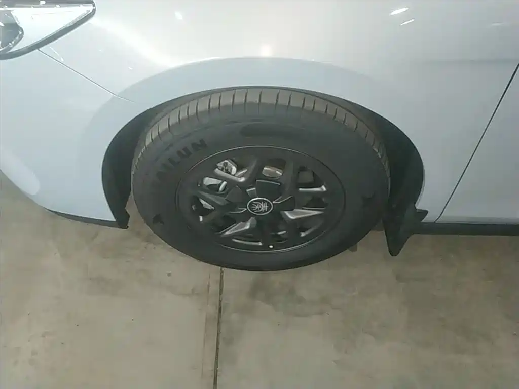 BYD Qin PLUS 2025 DM-i Smart Drive 55KM Leader фото 23